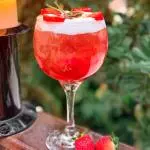 Frutas Vermelhas