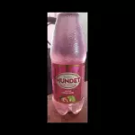 SIDRAL MUNDET FRESA KIWI