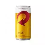 SKOL 269ML