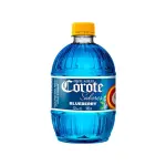 Corote blueberry