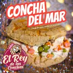 Concha de Mar 🐟
