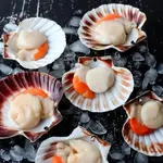 Vieiras 500g