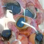 OJOS DE RES