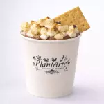 Choco S’more