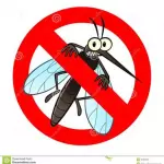 Mosquitos / Muriçocas / Pernilongos