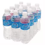 FARDO C/12 ÁGUAS S/GÁS 510ML