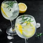 GIN TÔNICA HOLANDA