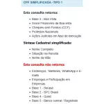 CPF SIMPLIFICADA -TIPO 1