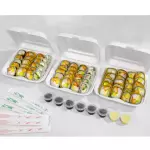 COMBOS 60 pzas de SUSHI
