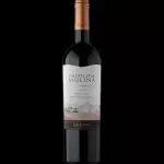 Castillo Molina