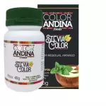 Adoçante Pó Color Andina Stevia 20g