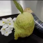 NIEVE MANGO - PASIÓN