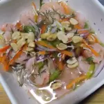 CEVICHE ORIGENES