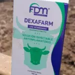 Dexametasona 100ml