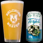 VASO BELCHING BEAVER