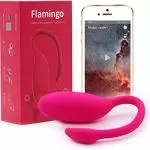 Magic Motion Flamingo App