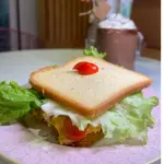 SANDUICHE NATURAL DE FRANGO LOW CARB