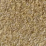 QUINOA