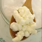 Nódulos de kefir de leche 30 mg