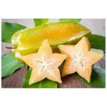 Carambola 0,500g
