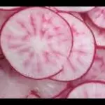 RABANITO