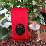 Café Orgánico