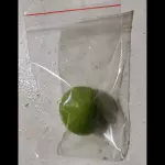 Wasabi 15g