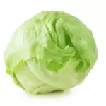 Lechuga Batavia x Unidad