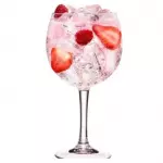 Gin Pink Tonic