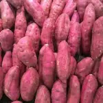 CAMOTE MALLA 1.5 KILOS