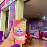 SORVETE NO COPO 500ML