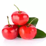 Vitamina de Acerola