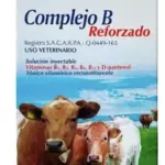 Complejo B Reforzado 100ml