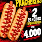 Pancho clásico 2x4000