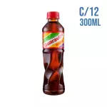 Pack de Guaravita C/12 300ml
