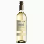 🇨🇱 TERRA SAUVIGNON BLANC