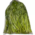 一包通心菜 unchoy