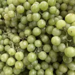 UVA VERDE SEM SM