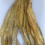 BAGRE SALADO