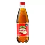 Sidral mundet 600 ml.