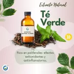 EXTRACTO HG TE VERDE