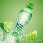H2O