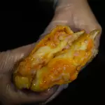 5  Queijos