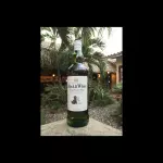 WHISKY 08 ANOS (BOTELLA)