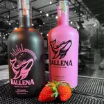 BALLENA