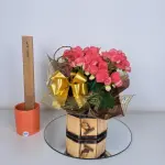 A450 Begonia P/11 "Encantadora"