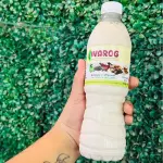 AGUA DE HORCHATA 500 ML