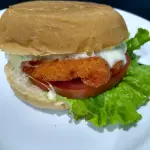 X FRANGO  SIMPLES