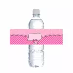 28 Etiquetas para Botellas de Agua