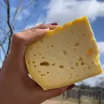 Queijo Gabiru Fracionado 230g
